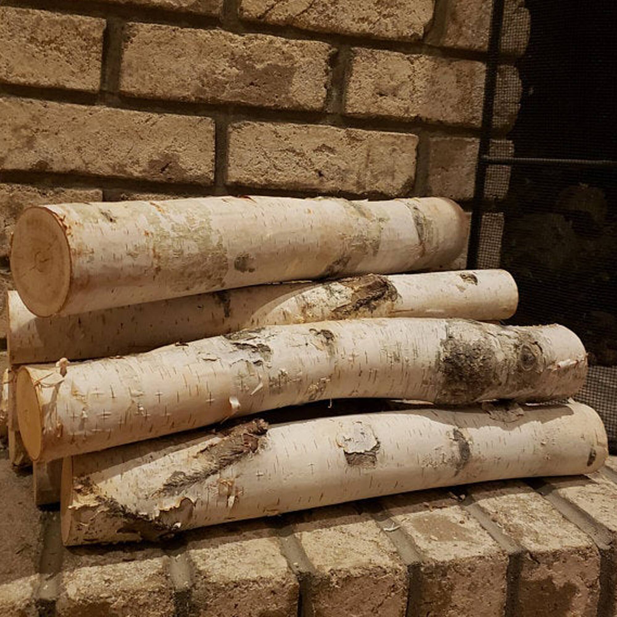 Wilson® Enterprises 6"-8" Large White Birch Fireplace Set, 3ct.